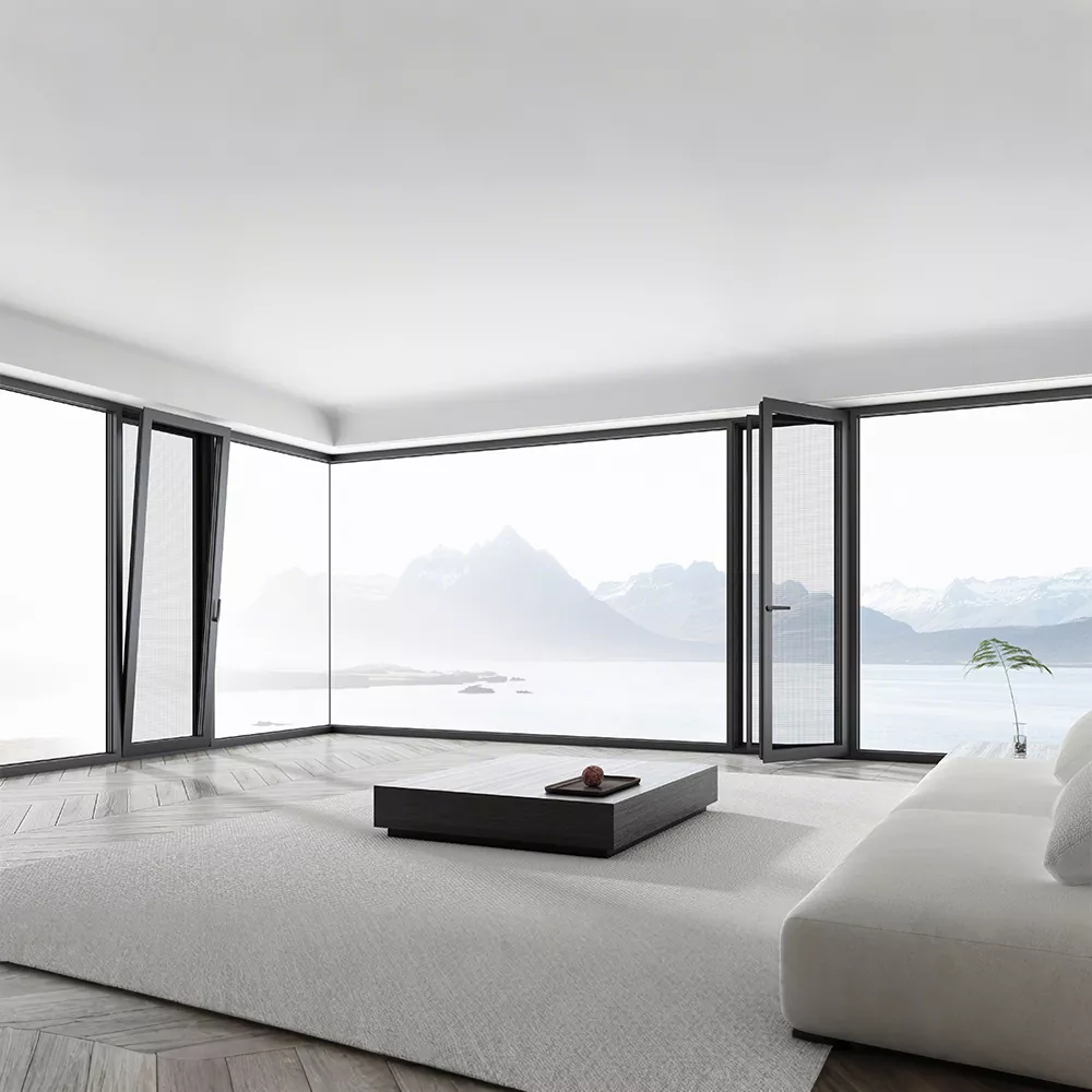 ປ່ອງຢ້ຽມທີ່ເປີດພາຍໃນແລະຕ່າງປະເທດ Internouted